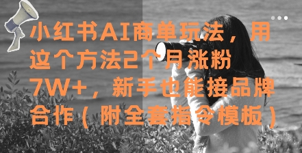 小红书AI商单玩法，用这个方法2个月涨粉7W+，新手也能接品牌合作(附全套指令模板)-创领云聚