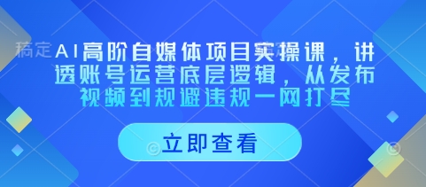 AI高阶自媒体项目实操课，讲透账号运营底层逻辑，从发布视频到规避违规一网打尽-创领云聚