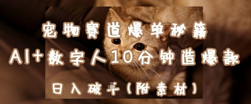 宠物赛道爆单秘籍：AI+数字人10分钟造爆款，日入1k-创领云聚