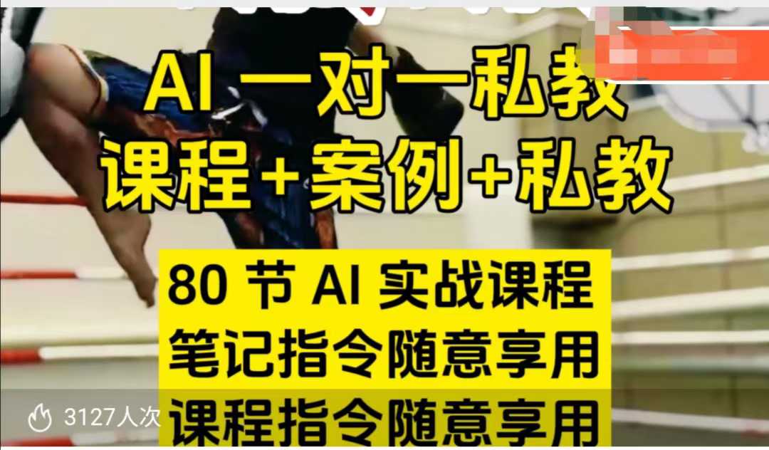 AI指令实战课，课程+案例，80节AI实战课程，笔记指令随意享用，课程指令随意享用(更新7月)-创领云聚