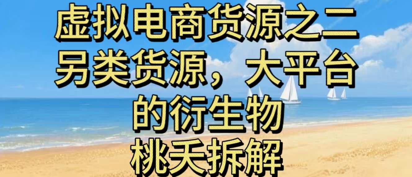 虚拟电商之二—另类的货源，大平台的衍生物-创领云聚