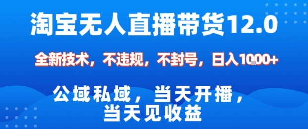 淘宝无人直播12.0，公域私域技术，不封号，不违规布局双十一流量风口，日入1k(独家技术)【揭秘】-创领云聚