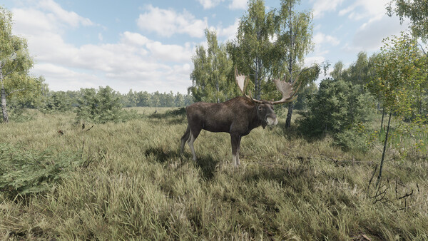 《猎捕行动/On the Hunt》PC中文版下载-含Build.20557498-创领云聚