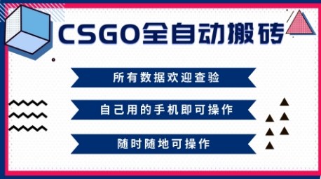 CSGO全自动搬砖，年底钱回家好项目，当天可拿到结果，新手小白轻松月入1W+【揭秘】-创领云聚