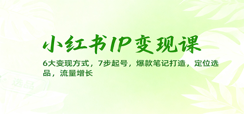 小红书IP变现课：6大变现方式，7步起号，爆款笔记打造，定位选品，流量增长-创领云聚