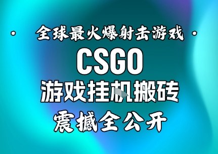 【年底大揭秘】基于全球最火爆的射击CSGO游戏挂G搬砖，日入5张+，震撼公开-创领云聚