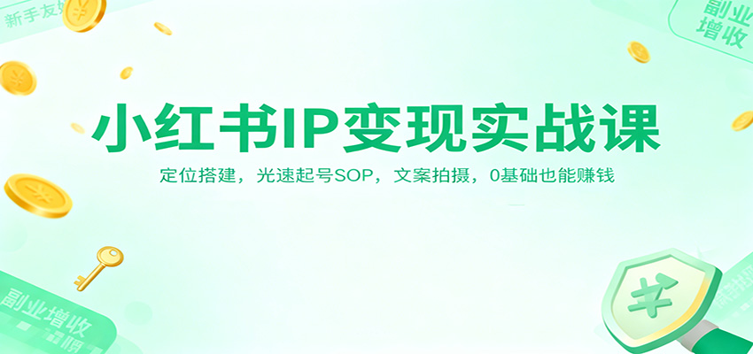 小红书IP变现实战课：定位搭建，光速起号SOP，文案拍摄，0基础也能赚钱-创领云聚