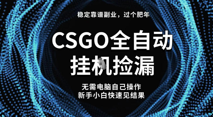【稳定副业】全球最热门游戏CSGO全自动捡漏，最新玩法，新手小白日入5张+【揭秘】-创领云聚