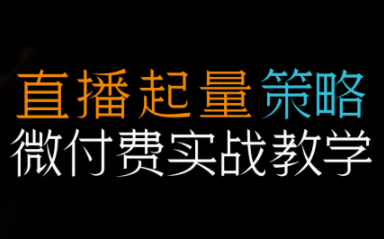 半野老师·直播带货起量与微付费必学课视频号-创领云聚