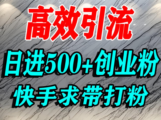 怎么打创业粉？快手求带视角精准引流创业粉，宝妈、学生群体日进500+精准流量-创领云聚