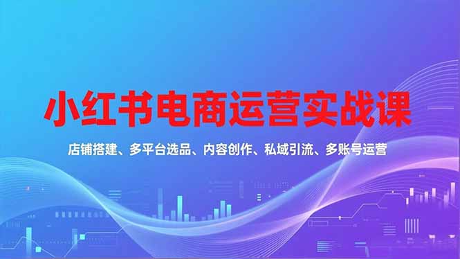 小红书电商运营实战课，店铺搭建、多平台选品、内容创作、私域引流、多账号运营等玩法-创领云聚
