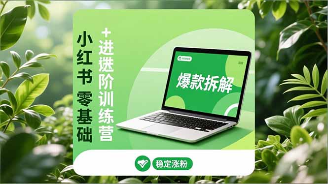 小红书零基础+高阶训练营：安全养号、爆款拆解、长效运营，实现稳定涨粉与变现-创领云聚