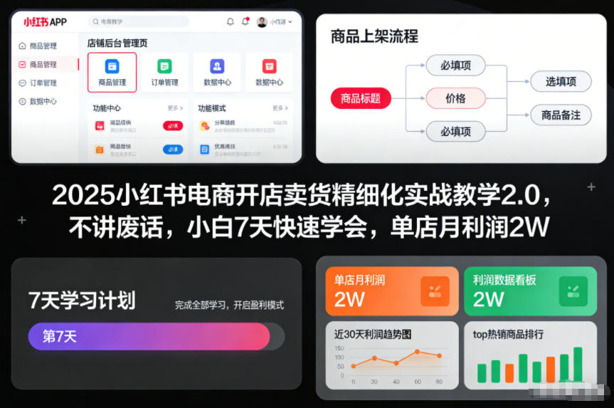 2025小红书电商开店卖货精细化实战教学2.0，不讲废话，小白7天快速学会，单店月利润2W-创领云聚