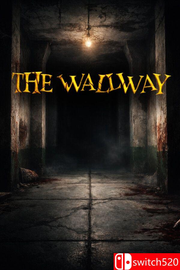 《幽暗走廊（THE WALLWAY）》Build 21325039 [英文]-创领云聚