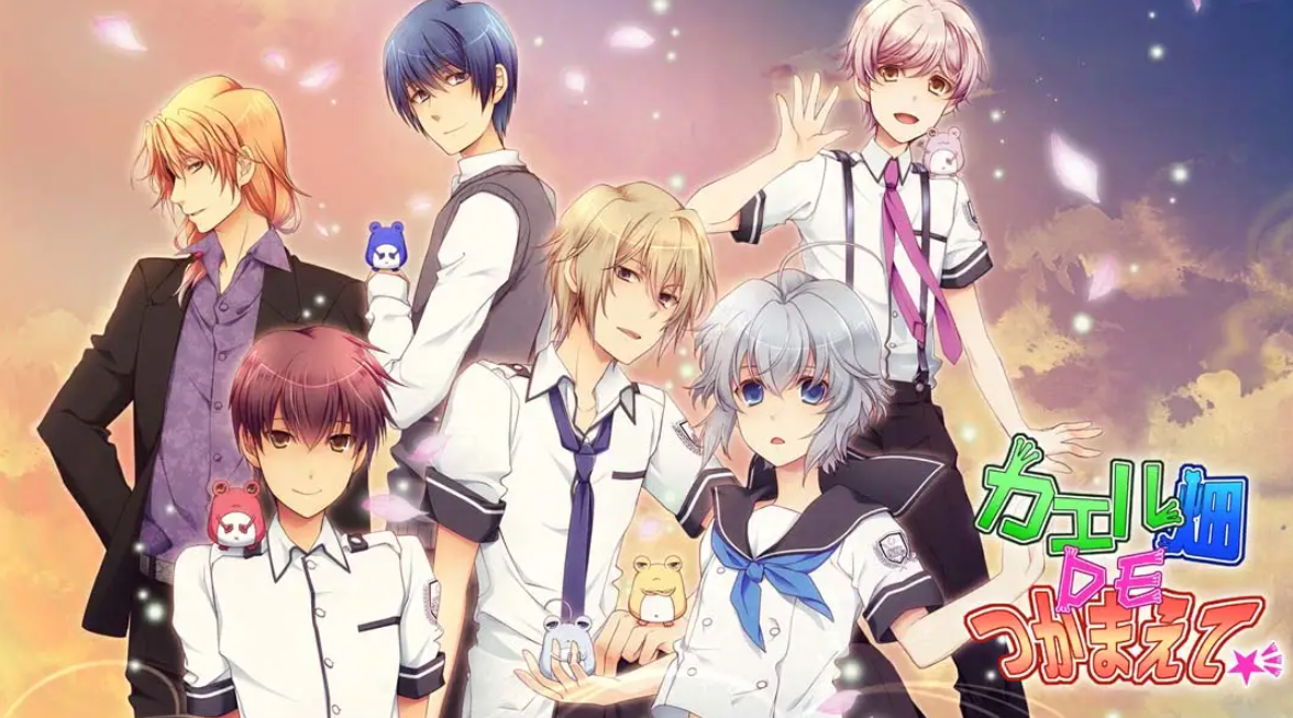 《蛙畑奇事 カエル畑DEつかまえて 乙女》Switch日文版XCI下载 – 含1.0.0补丁-创领云聚