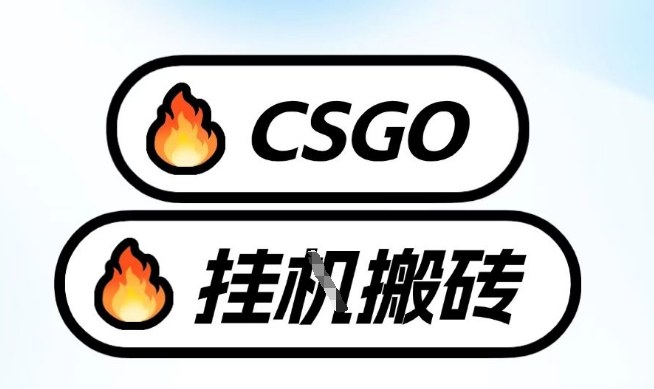 真全网独家CSGO挂G，最新玩法,单日捡漏1K+，不用电脑，不用打游戏【揭秘】-创领云聚