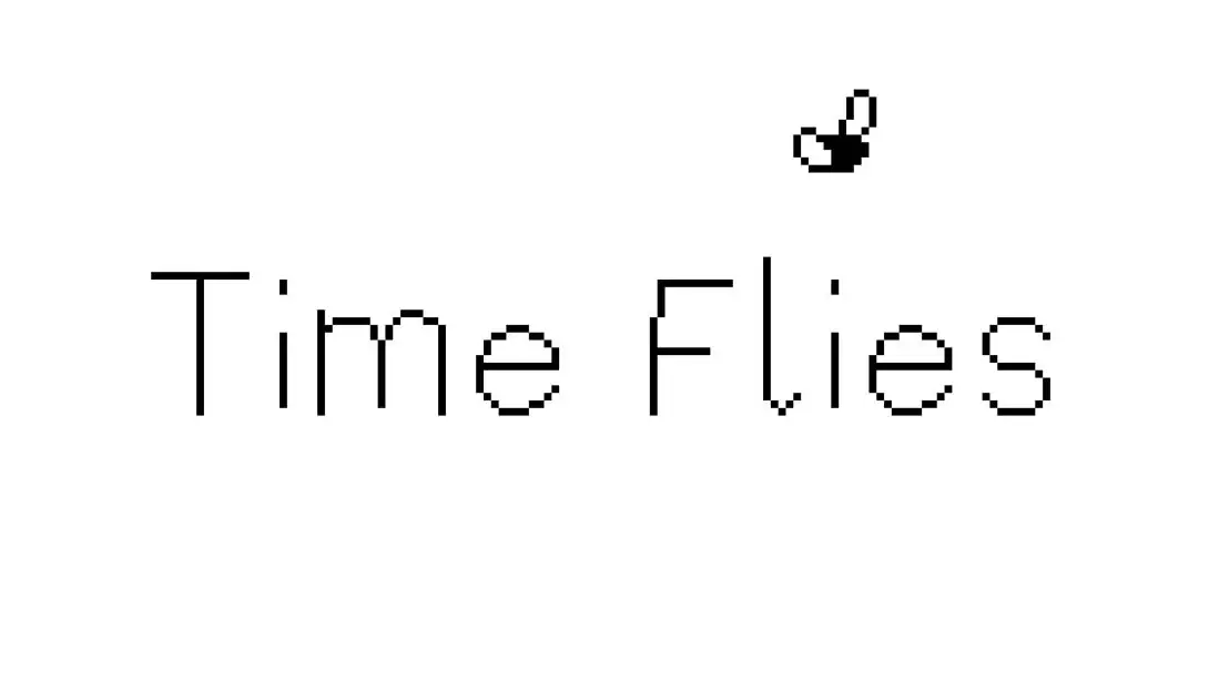 【美版】逝者如斯蝇 .Time Flies 中文-创领云聚