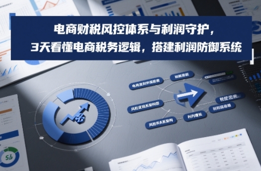 电商财税风控体系与利润守护，3天看懂电商税务逻辑，搭建利润防御系统-创领云聚