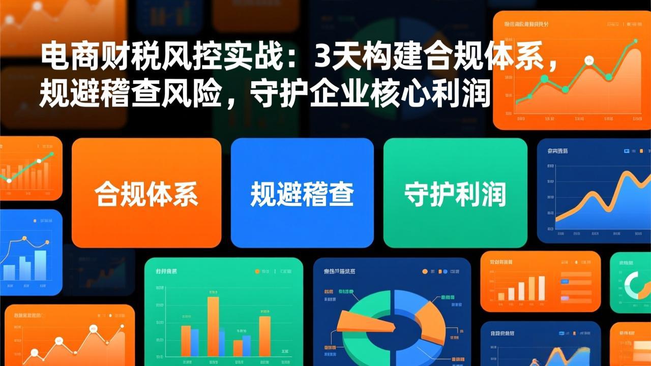 电商财税风控实战：3天构建合规体系，规避稽查风险，守护企业核心利润-创领云聚