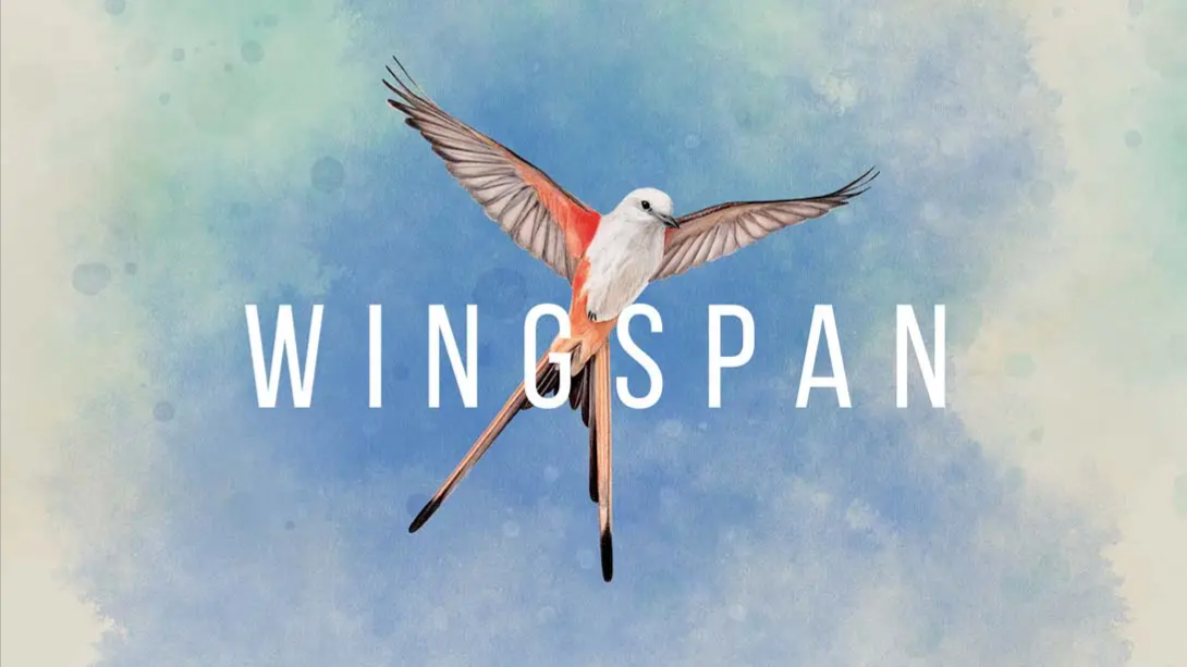 【美版】展翅翱翔 Wingspan 中文-创领云聚