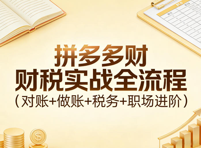 拼多多财税实战全流程(对账+做账+税务+职场进阶)-创领云聚