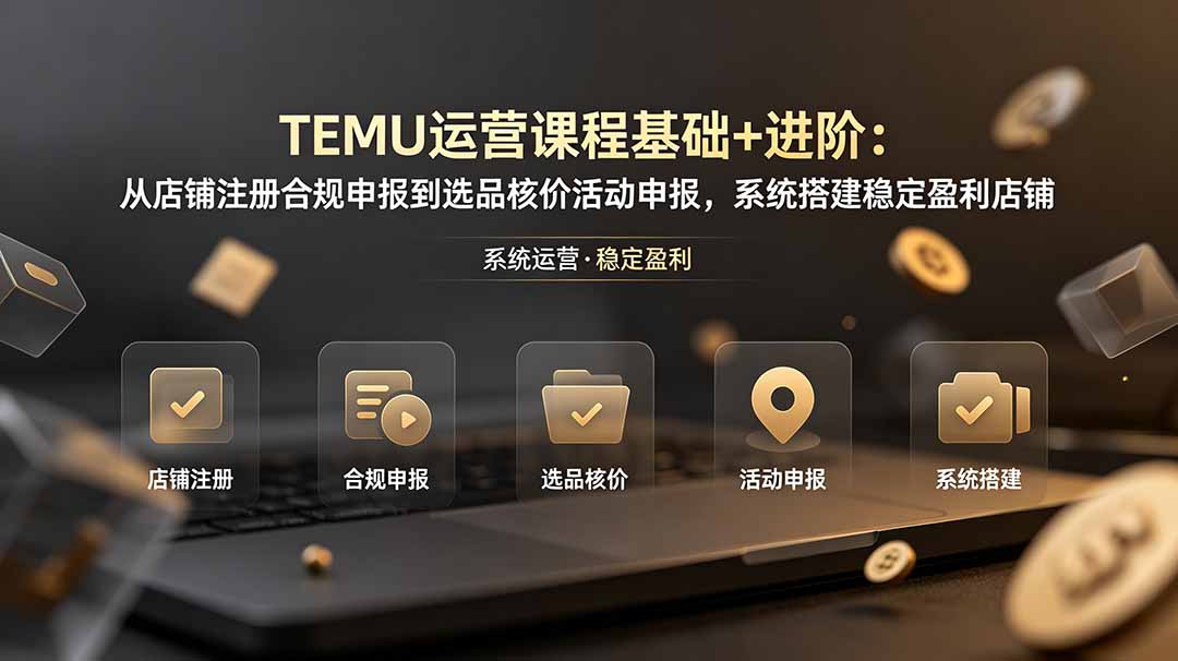 TEMU运营课程(基础+进阶-智享云联