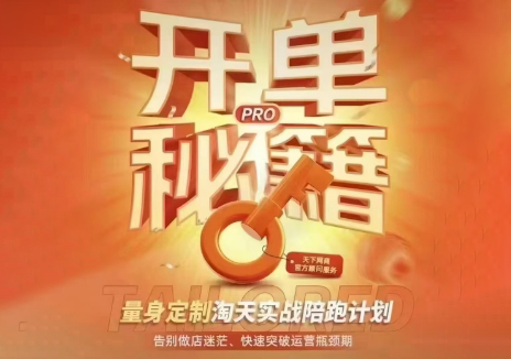 天下网商·淘宝天猫陪跑计划(更新7月)-智享云联