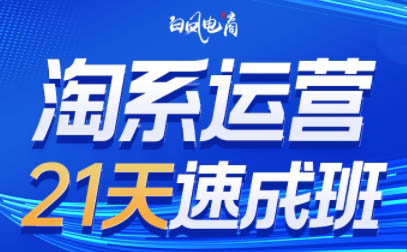 白凤电商·淘系运营21天速成班(更新9月)-智享云联