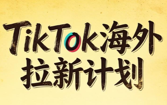 Tc联盟·TikTok海外拉新项目(更新9月)-智享云联