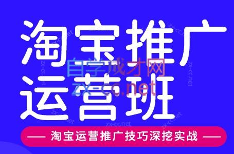 美迪电商·淘宝高级运营班+推广运营班(更新9月)-智享云联