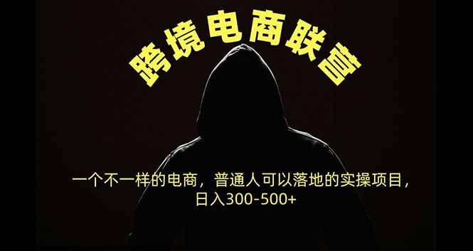 跨境电商联营，一个不一样的电商，普通人可操作日入300-500+-智享云联
