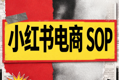 书豪必胜小红书电商sop(更新9月)-智享云联