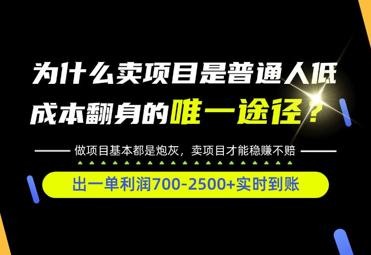 普通人如何靠互联网賺取自己的第一桶金!全类目实操型教学,看完你全都懂了!【揭秘】-智享云联