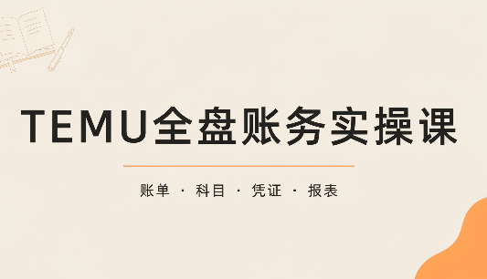 TEMU全盘账务实操课：账单导出、科目设置、利润核算-智享云联